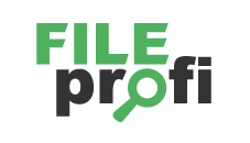 FileProfi - профессиональное восстановление данных в Кургане